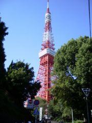 Tokyo_tower__3_.JPG