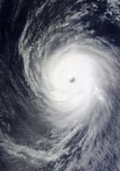typhon_image_satellite.jpeg
